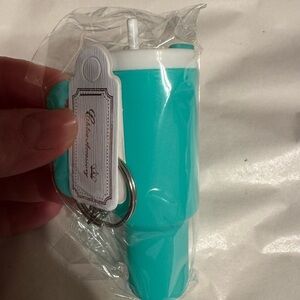 Teal Keychain Tumbler New